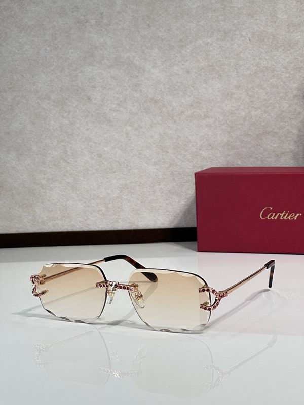 Cartier Glasses smr71
